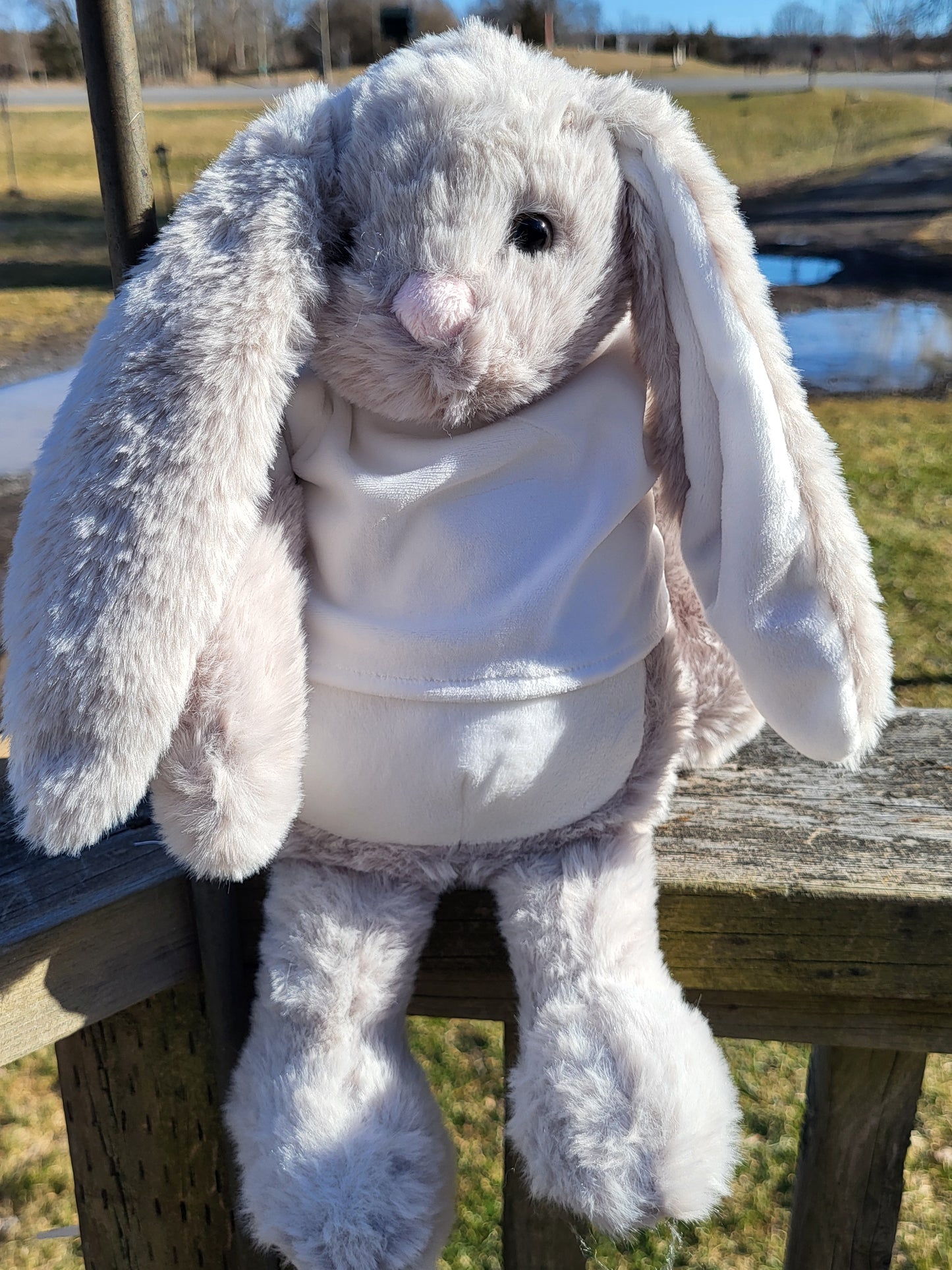 Easter Bunnies with Sublimation T-Shirts