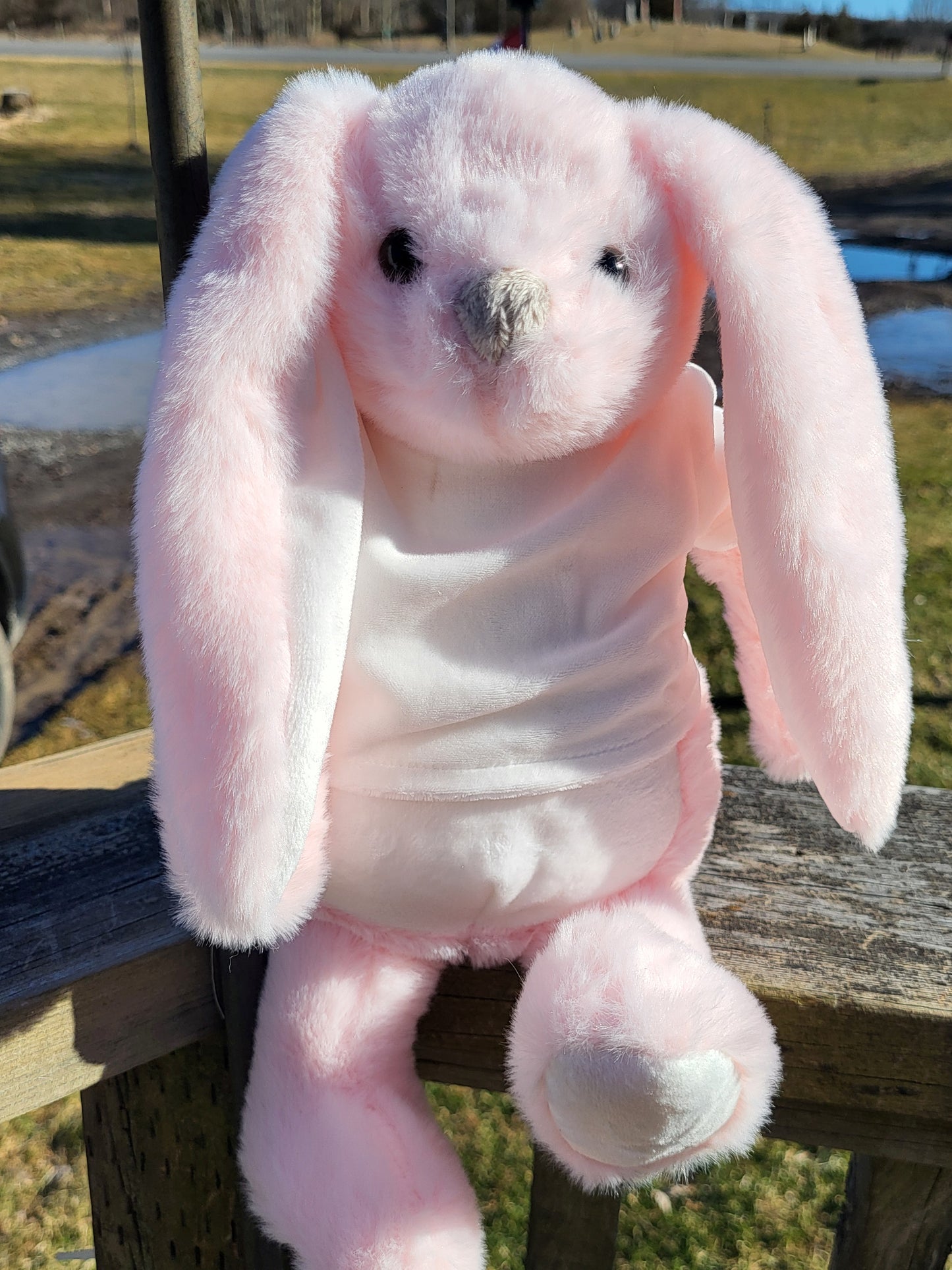 Easter Bunnies with Sublimation T-Shirts