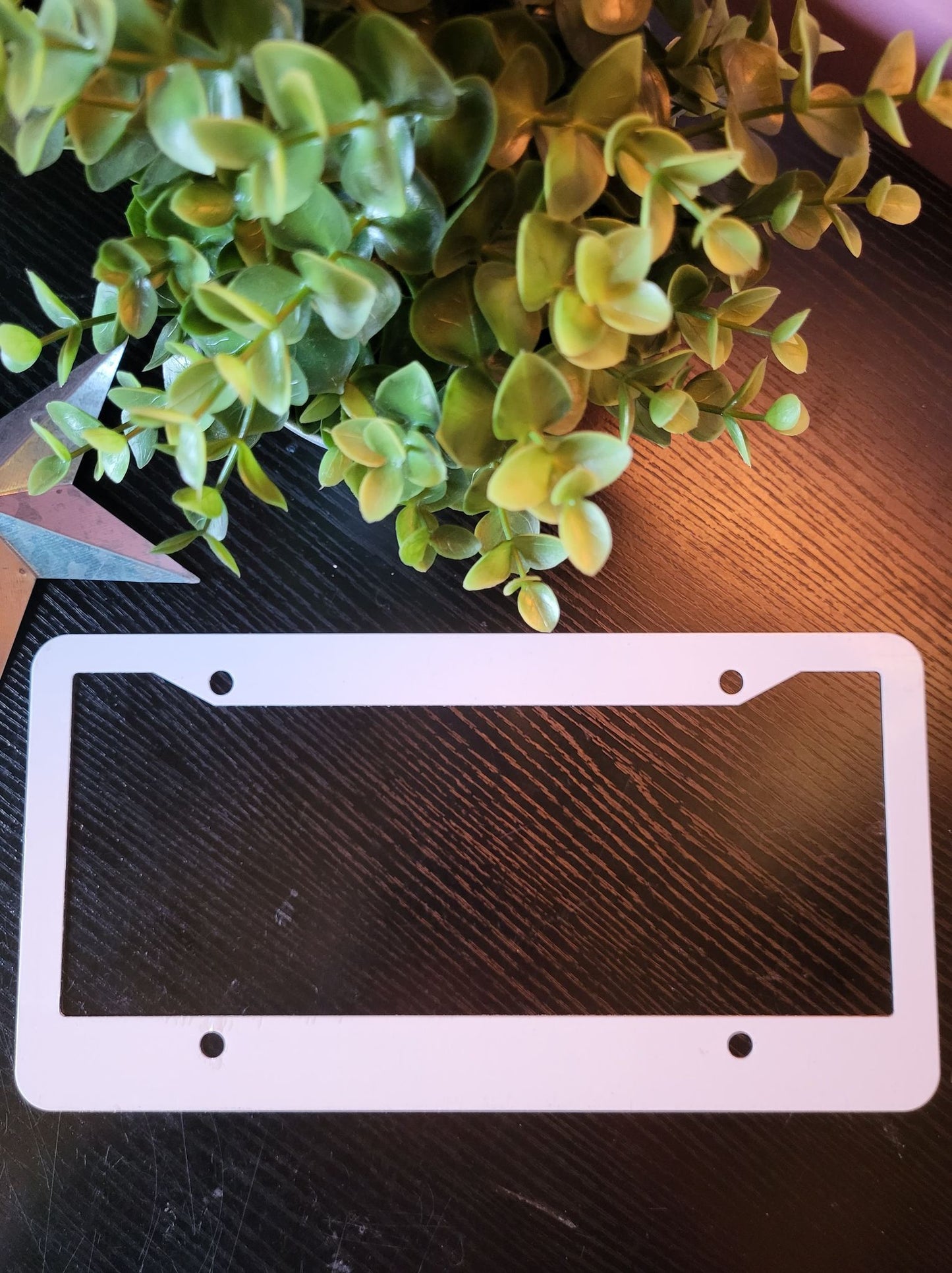 License Plate Frames - Sublimation