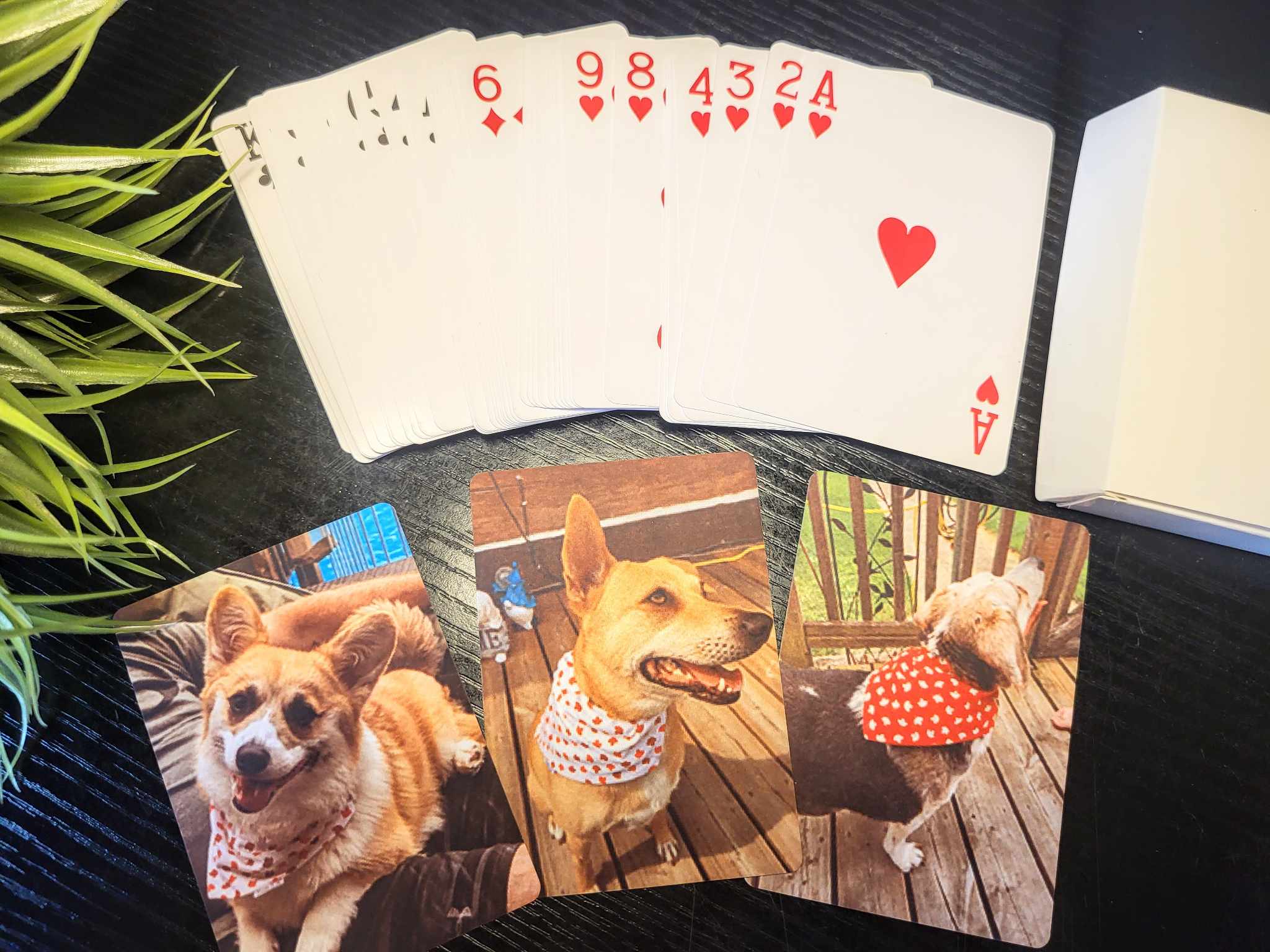 Playing Cards Sublimation Sublimation Blanks FABB Family Affair Playing cards sublimation sublimation blanks fabb family affair